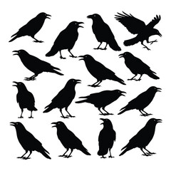 Collection of dynamic crow silhouettes capturing various poses and actions silhouette