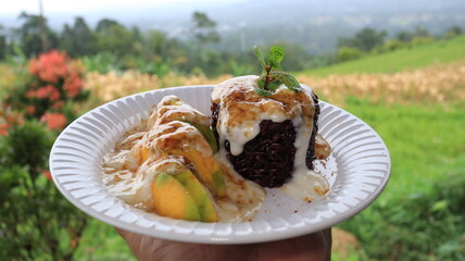 Delicious chocolate cake and avocado dessert presented on a white plate against a lush green hillside backdrop, creating an inviting and natural food scene.