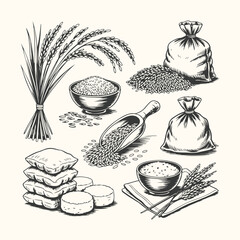 Vector art of handdrawn illustration of rice grains, stalks, and sacks, depicting the agricultural process and harvest