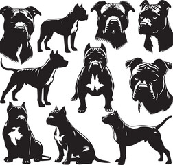 Pitbull Dog Silhouette Vector Set Black and White Pitbull Illustrations Canine Pet Graphics