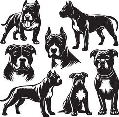 Pitbull Dog Silhouette Vector Set Black and White Pitbull Illustrations Canine Pet Graphics