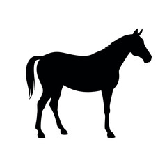 Elegant black silhouette of a standing horse on a white background