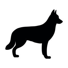 Silhouette of a standing german shepherd dog with alert ears and a bushy tail