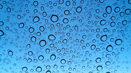 Raindrops on glass close-up. Black and white monochrome. Selective focus