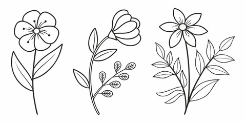 Delicate line art floral elements perfect for creating beautiful botanical designs, invitations, and natural themes