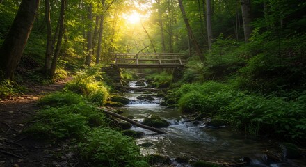Obraz premium 緑豊かに広がる森林の奥深くにひっそりと流れる清流 古びた木製の橋がその上を渡る 木々の隙間から力強く差し込む黄金色の陽光が水面をきらきらと輝かせ 森全体を神秘的な雰囲気に包み込む美しい景観. AI Generated