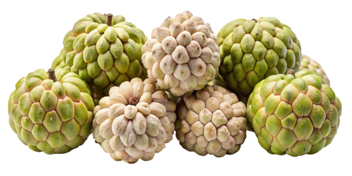 A group of custard apples with textured green and white surfaces isolated on transparent background