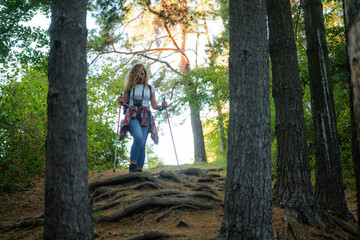 Fototapeta premium Woman hiking in forest, enjoying nature and outdoor adventure