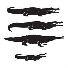 Fototapeta premium Silhouette art vector design vector art of four black alligator silhouettes