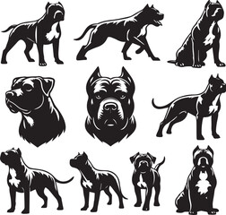 Pitbull Dog Silhouette Vector Set Black and White Pitbull Illustrations Canine Pet Graphics