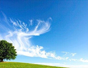 Obraz premium Serene Landscape with Lush Green Tree and Wispy White Clouds under a Vivid Blue Sky