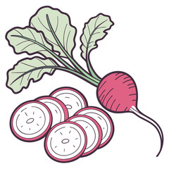 A vibrant illustration of a whole red radish with green leaves and several sliced radishes showing their white interior and pink skin on a white background