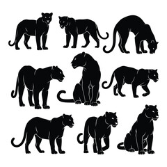 Set of silhouette black panthers in various poses elegant feline wildlife art silhouette