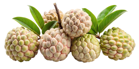 A cluster of ripe custard apples with green leaves isolated on transparent background