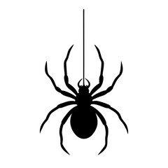 Vector silhouettes of a creepy hanging spider