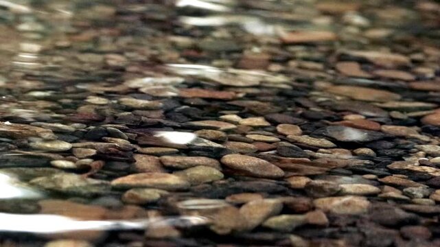 Clear mountain creek flowing over rocky bottom &mdash; natural water texture, 4K close-up video