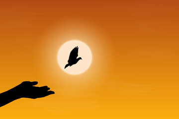 Symbolizing freedom and hope, a bird soars into a golden sunset. Perfect for projects about nature, independence, inspiration, and tranquillity, the beauty and peace of limitless possibilities.