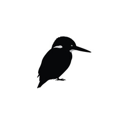 A striking and elegant kingfisher silhouette captured in a realistic and flat 2D vector illustration, presented simply on a clean white background.
