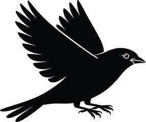 Obraz premium Black bird in flight silhouette flying wings