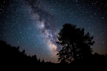 A silhouette of a tall tree stands against a breathtaking night sky filled with stars and the glowing band of the Milky Way, creating a serene and awe-inspiring scene.