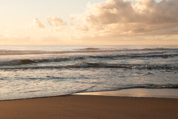 Piracanga beach in Itacar&eacute;, Bahia. Virgin forest coastline with golden sand and turquoise waters. Unique natural scenery where sea turtles hatch, a symbol of preservation and tropical beauty.