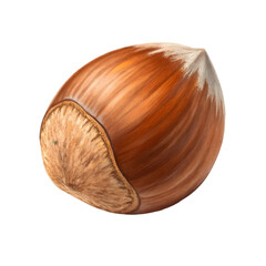 A single fresh hazelnut