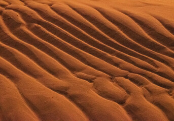 Piracanga beach in Itacaré, Bahia. Virgin forest coastline with golden sand and turquoise waters. Unique natural scenery where sea turtles hatch, a symbol of preservation and tropical beauty.