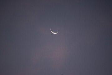 Piracanga beach in Itacaré, Bahia. Virgin forest coastline with golden sand and turquoise waters. Unique natural scenery where sea turtles hatch, a symbol of preservation and tropical beauty.