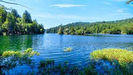 Scenic view of Loch Lomond Recreation Area in Santa Cruz Mountains, California USA, with clear blue water, forested hills, and summer sky reflecting tranquility and natural beauty