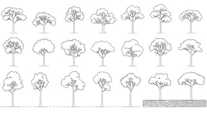 Architectural Tree Elevation Set – Landscape Drawing, Section, Outline, Vector Trees, Plan Illustration