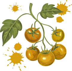 hand drawn watercolor style yellow tomato elements set with abstract paint blots and green leaves isolated on white organic produce vector illustration