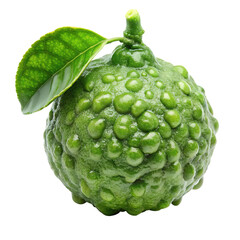 A single textured green kaffir lime fruit with a leaf attached isolated on transparent background