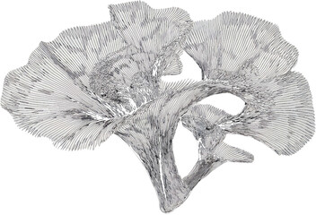 Abstract Black and White Ink Drawing of a Fleshy Plant Form illustration isolated on a transparent background