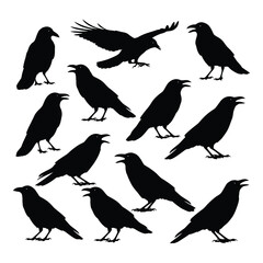 Diverse collection of silhouette crows in various poses and flight silhouette