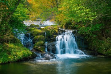 Fototapeta premium A peaceful cascade tumbling over stones amid dense greenery