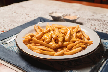 French fries with melted cheddar cheese served on a restaurant plate.