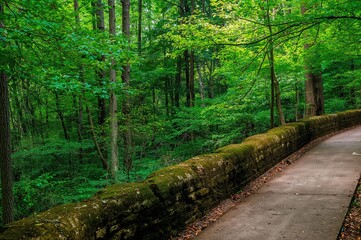 Obraz premium A massive rock barrier beside a pathway.