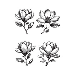 Hand-Drawn Magnolia Flower Vector Set – Black and White Botanical Illustration