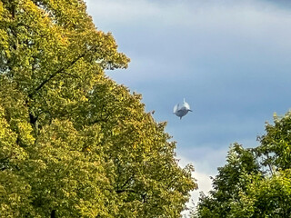 An airship in the cloudy autumn sky with trees in the background. © Stanislav