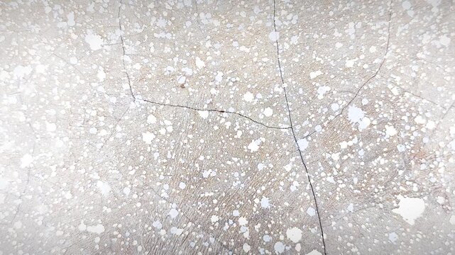 Street pavement showing deep crack