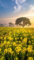 Obraz premium Serene Sunrise Over Vibrant Yellow Flower Field and Majestic Tree