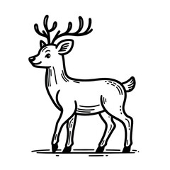 Obraz premium Young reindeer standing with antlers in a playful pose 
