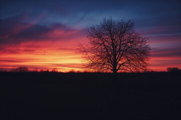 Obraz premium As twilight falls, vibrant hues of orange and purple fill the sky, standing out against the serene surroundings. The cool breeze is calm, while the diminishing sunlight stretches shadows across the