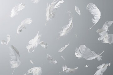 Delicate White Feathers Drifting Through the Air, Symbolizing Serenity and Lightness