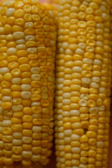 yellow corn texture close-up, summer food