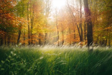 Naklejka premium Blurred natural background in daylight