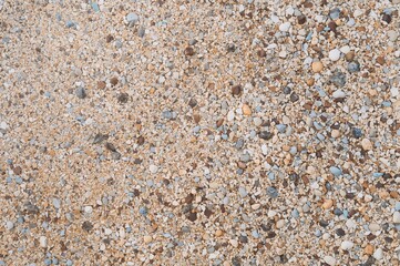 Fragmented sea shells and tiny stones. Texture resembling terrazzo