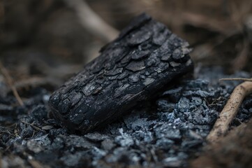 Obraz premium Close-up view of burnt wood and ash, highlighting a rough, textured surface with charred elements.