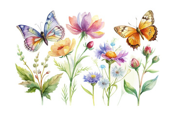 Watercolor Wildflowers with Butterflies vector Illustration 