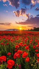 Obraz premium Vibrant Sunset Over Poppy Field with Dramatic Sky and Clouds